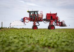 Artificial intelligence helping to improve farming