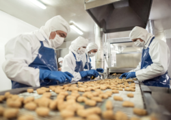 Artificial Intelligence Advances Food Safety